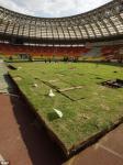 Luzhniki Stadion Article
