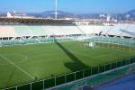 stadium Artemio Franchi picture